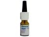 Rhinocort Nasal Spray
